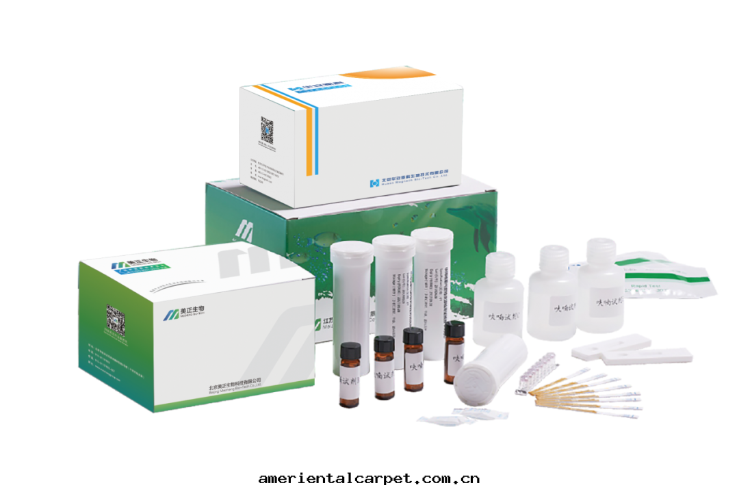 胶(jiāo)体金(jīn)快(kuài)速檢测試紙(zhǐ)条.png 胶(jiāo)体金(jīn)快(kuài)速檢测試紙(zhǐ)条.png